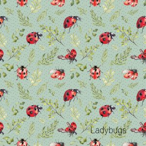 Ladybugs